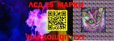 дмт Гатчина