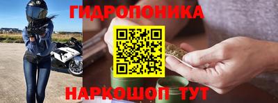 винт Гусев