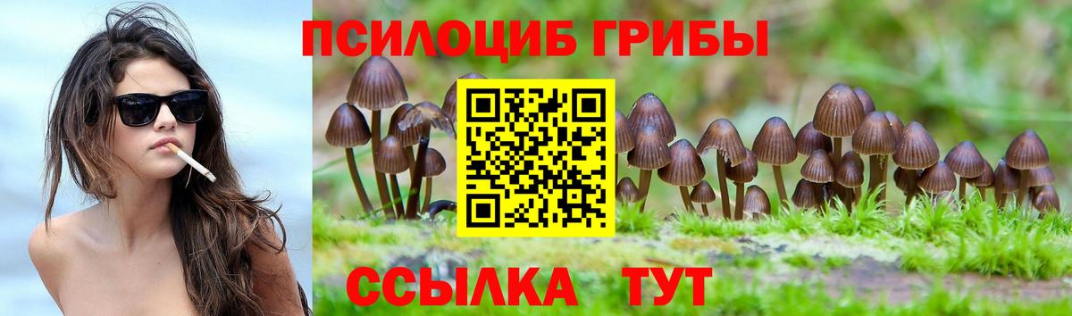 Галлюциногенные грибы мицелий Кушва